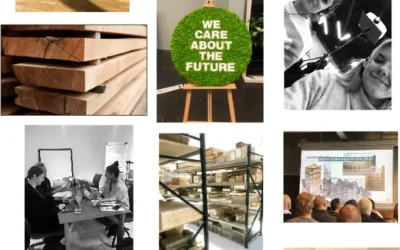 Fra Fionia Parket Aps’ visioner til en ny strategi for marketing og salg