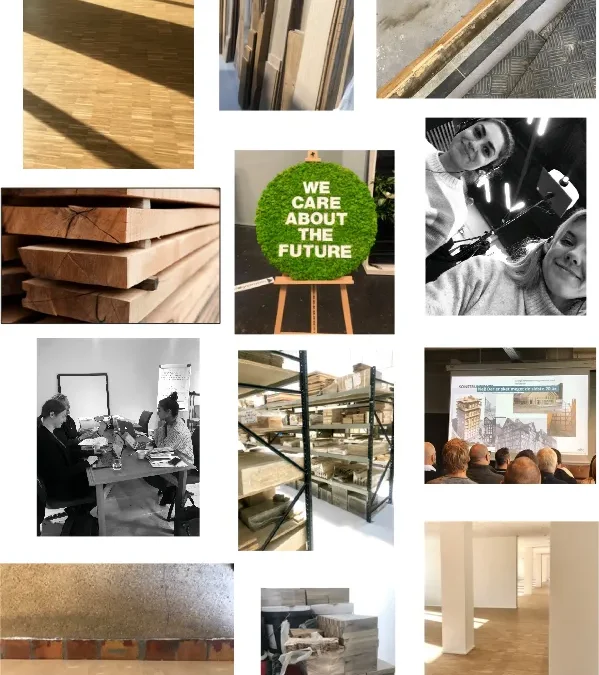 Fra Fionia Parket Aps’ visioner til en ny strategi for marketing og salg